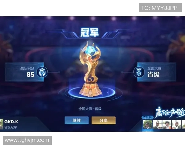 王者荣耀战术解析：深入剖析RNG战队的运营体系与成功秘诀