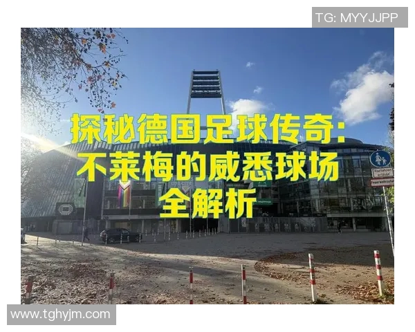 谢什科的传奇人生与足球事业的辉煌成就探秘